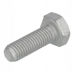 Hex head screw