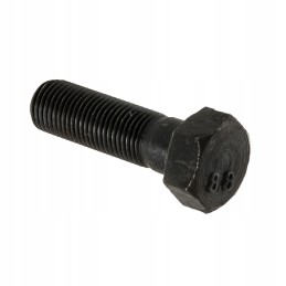 Flywheel bolt Wladimirec T 25 M12