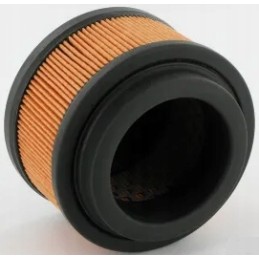 Air filter will answer Donaldson P500196