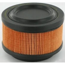 Air filter will answer Donaldson P500196