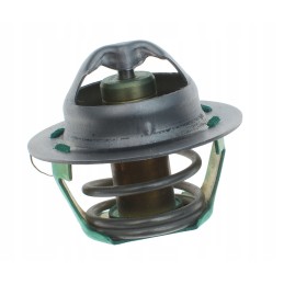 Cat original thermostat