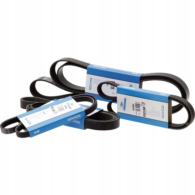 Grooved V-belt 8n 1790mm dayco
