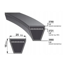 V-belt HC 3164 Bizon 22x14x3164