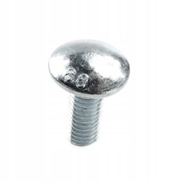 Screw M10 Claas 216401 0 units