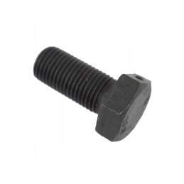 Screw m 14x1 50x30 hole c385 54210853