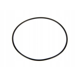 Lift piston oring 99x3mm case 3057615r1