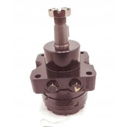 Hydraulic motor wre070503