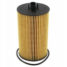 Oil filter Donaldson P550768 F411201510010 029310