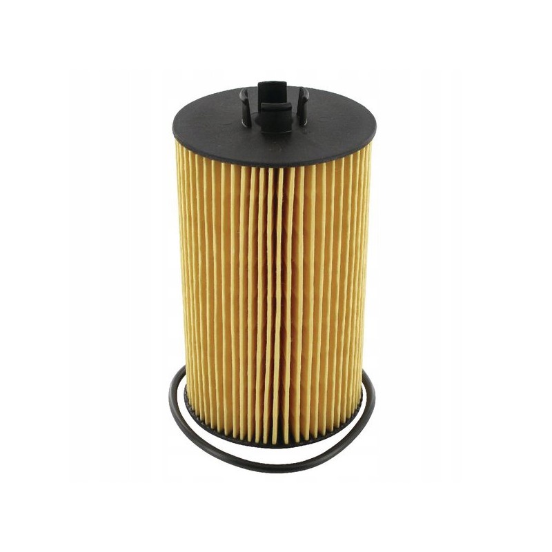 Oil filter Donaldson P550768 F411201510010 029310