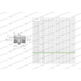 Hydraulic connection bb xge m30x2 22l x 3 4