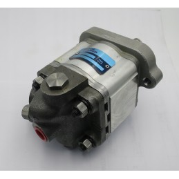 A8 2l derupe hydraulic pump 26091