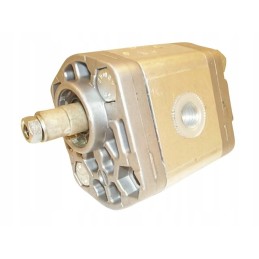 Bosch pump 0510010008