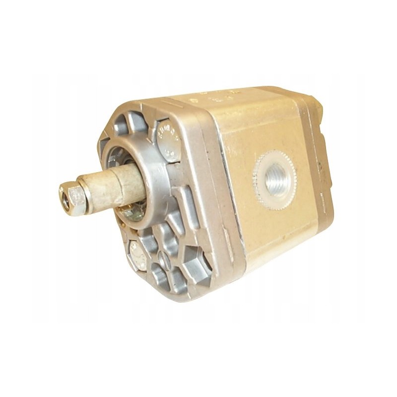 Bosch pump 0510010008