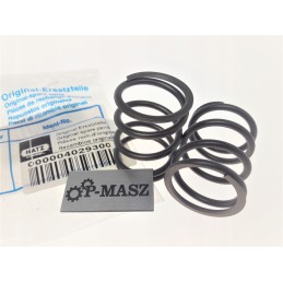 Hatz 1d41 valve spring 04029300