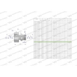 Hydraulic connector AB M30x2 M22x1 5 Warynski