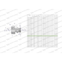 Hydraulic connector AB M36x2 M16x1 5 Warynski