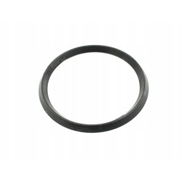 Pump wedge ring p250 p260 rg00019055