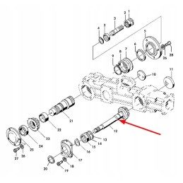 Lca70183 shaft with gear wheel
