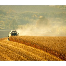 Belt belt hm h 2222 stomil sanok harvest belts