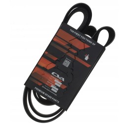 Multi V-belt 8 pk cva