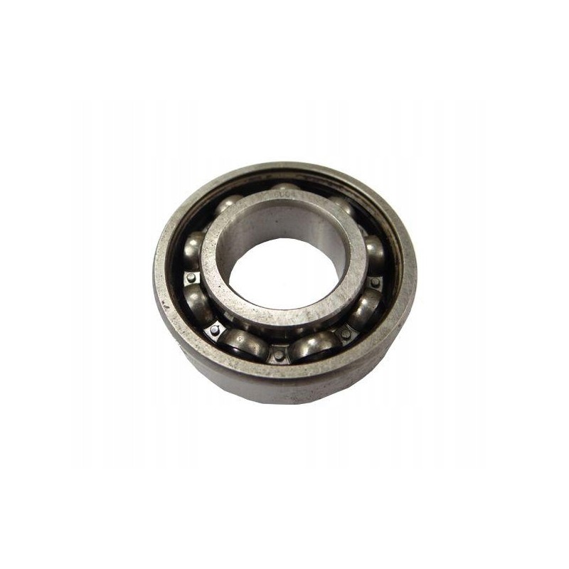 Bearing 6004