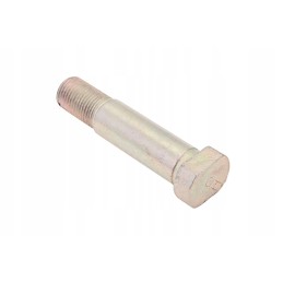 100043855 special screw for the m16 variator