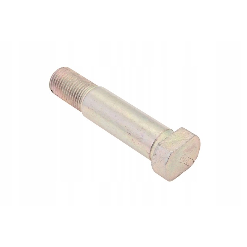 100043855 special screw for the m16 variator