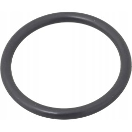 Pierscien 1006336m1 kramp