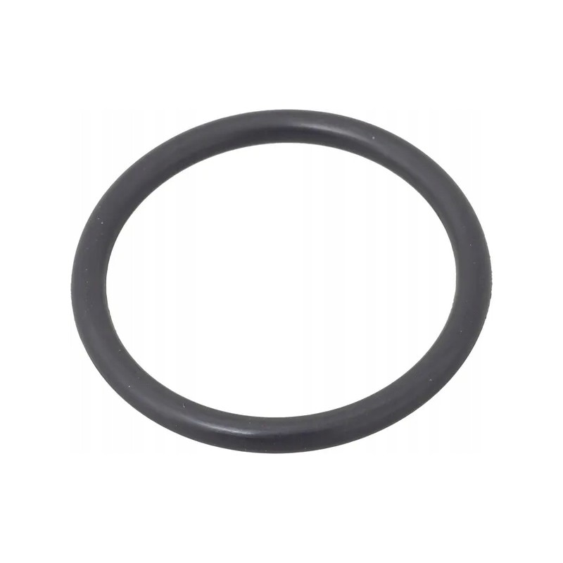 Pierscien 1006336m1 kramp