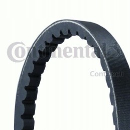 Conti V-belt 13x1950 con