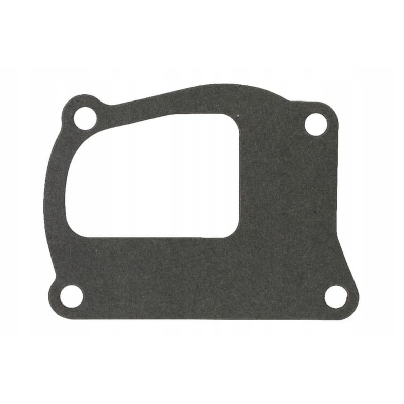 98400776n water pump gasket