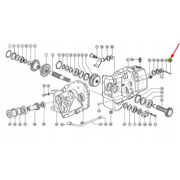 244569 0 spring wheels 5 x 32
