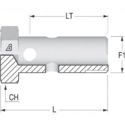 Hbm16 overflow screw m16x1 5