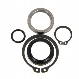 Bizon accelerator piston seal set