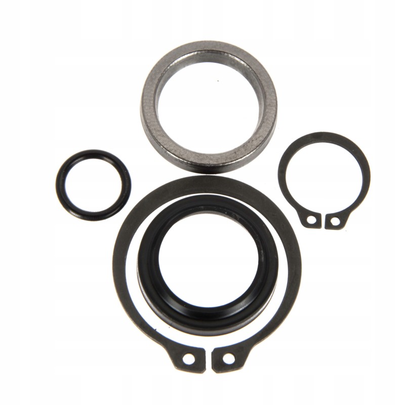Bizon accelerator piston seal set