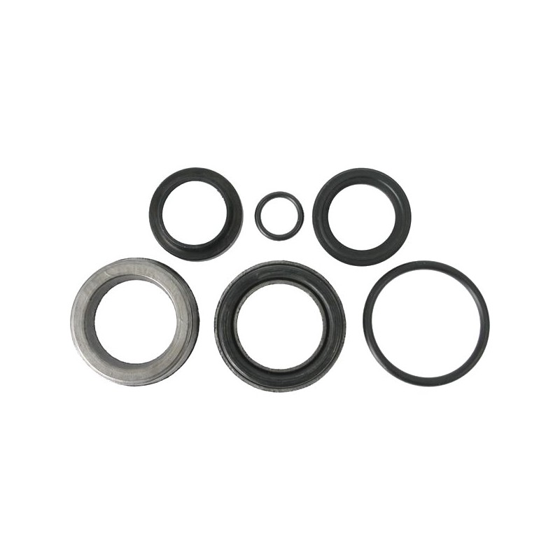 Gasket set f 174 40 22 sil motowidel bison