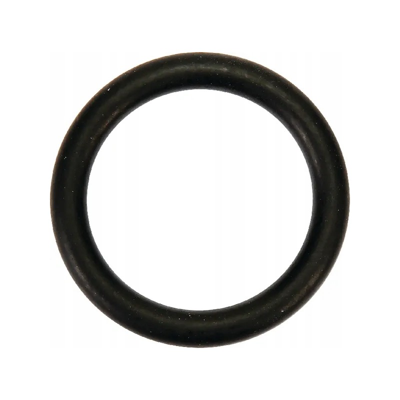 O ring water pump mf