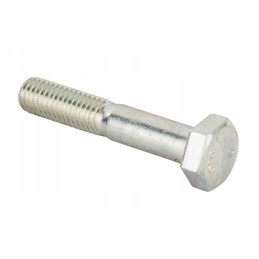 Screw M10x55mm Claas 001033532 101081055