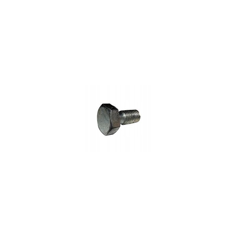 Mtz Pronar Belarus fuel filter screw original