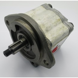 C10l thwaites hydraulic pump 31920