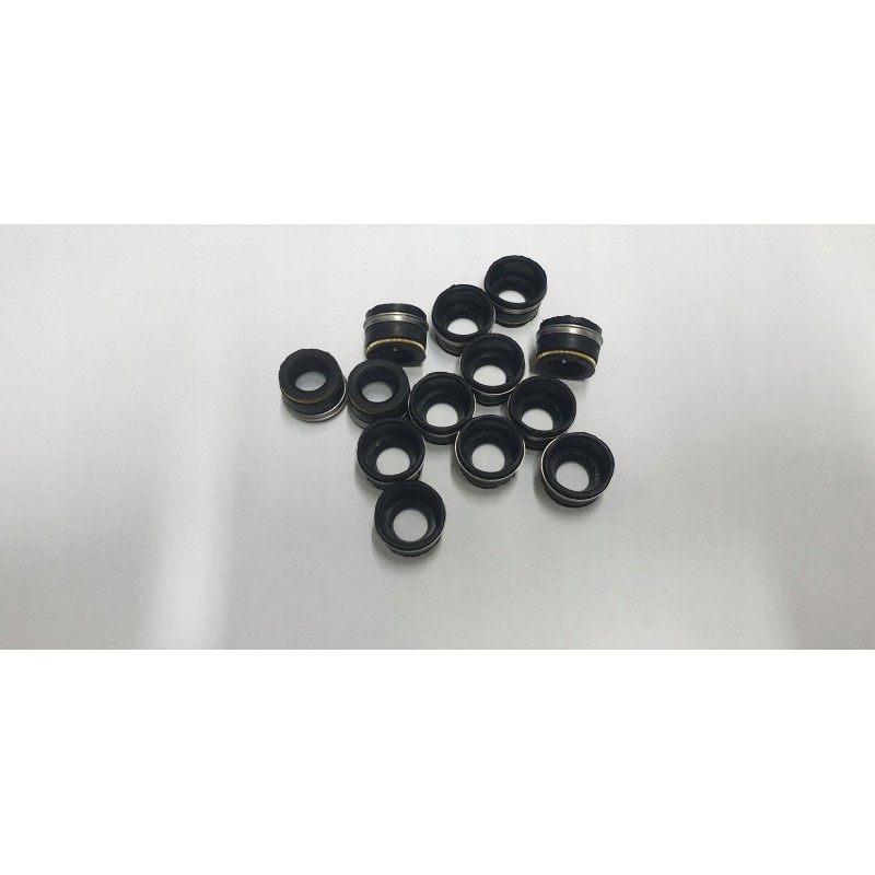 Pronar Mtz Belarus head valve seal