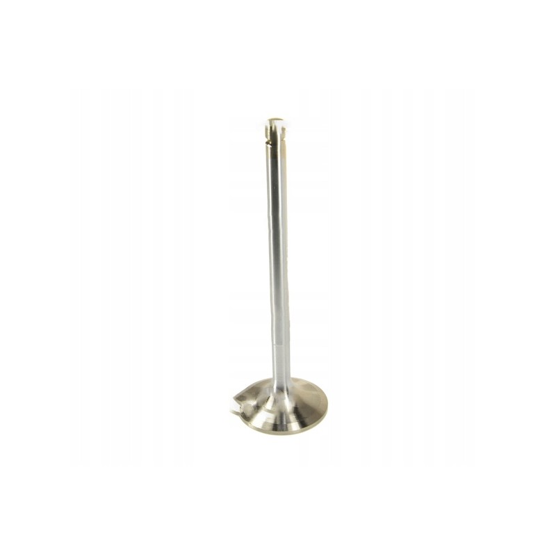 Chromed exhaust valve for bizon pla2585k pl6