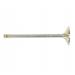 Chromed exhaust valve for bizon pla2585k pl6