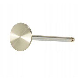 Chromed exhaust valve for bizon pla2585k pl6