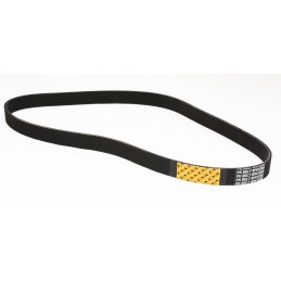 Multi V-ribbed belt cva loader cat