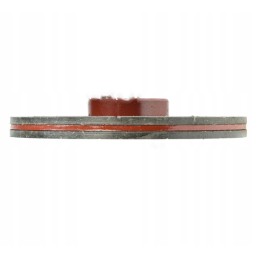 Foot brake disc with flange fi 165 old t
