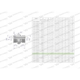 Hydraulic connection bb xge m30x2 22l x 1