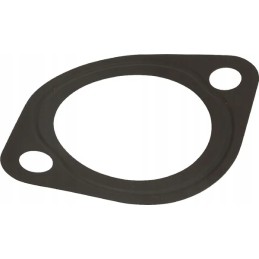 Thermostat gasket d1105