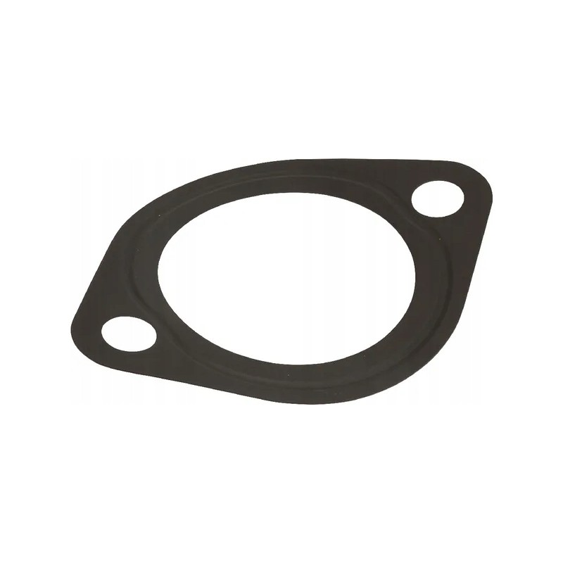 Thermostat gasket d1105