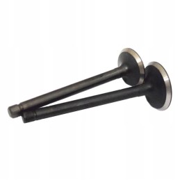 Kubota v2403 engine valve set, intake plus outlet